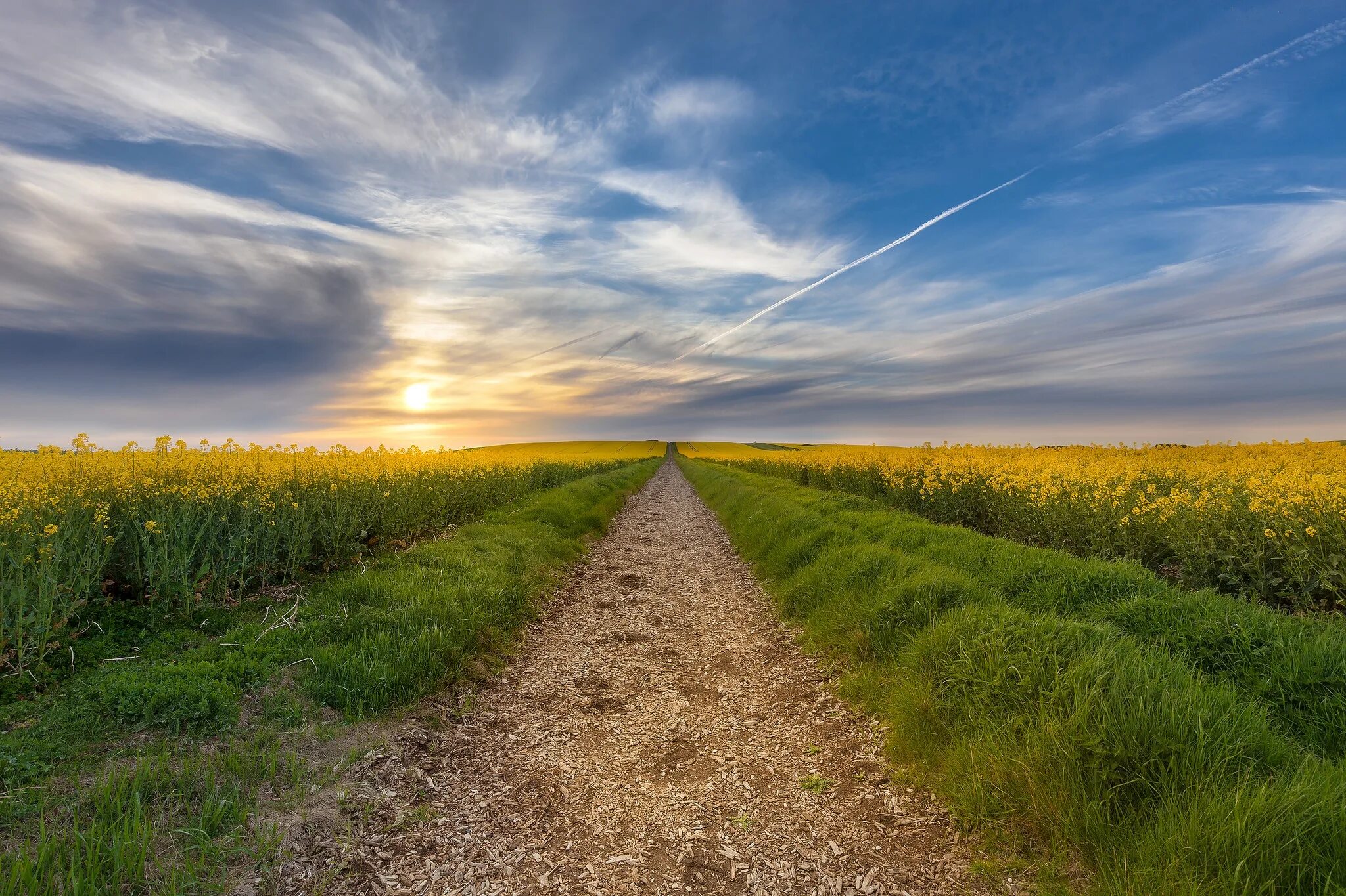 Поле тропинка фото landscapes field gravel road 750x1334 iPhone 6, 6S, 7, 8 wallpapers from photomo