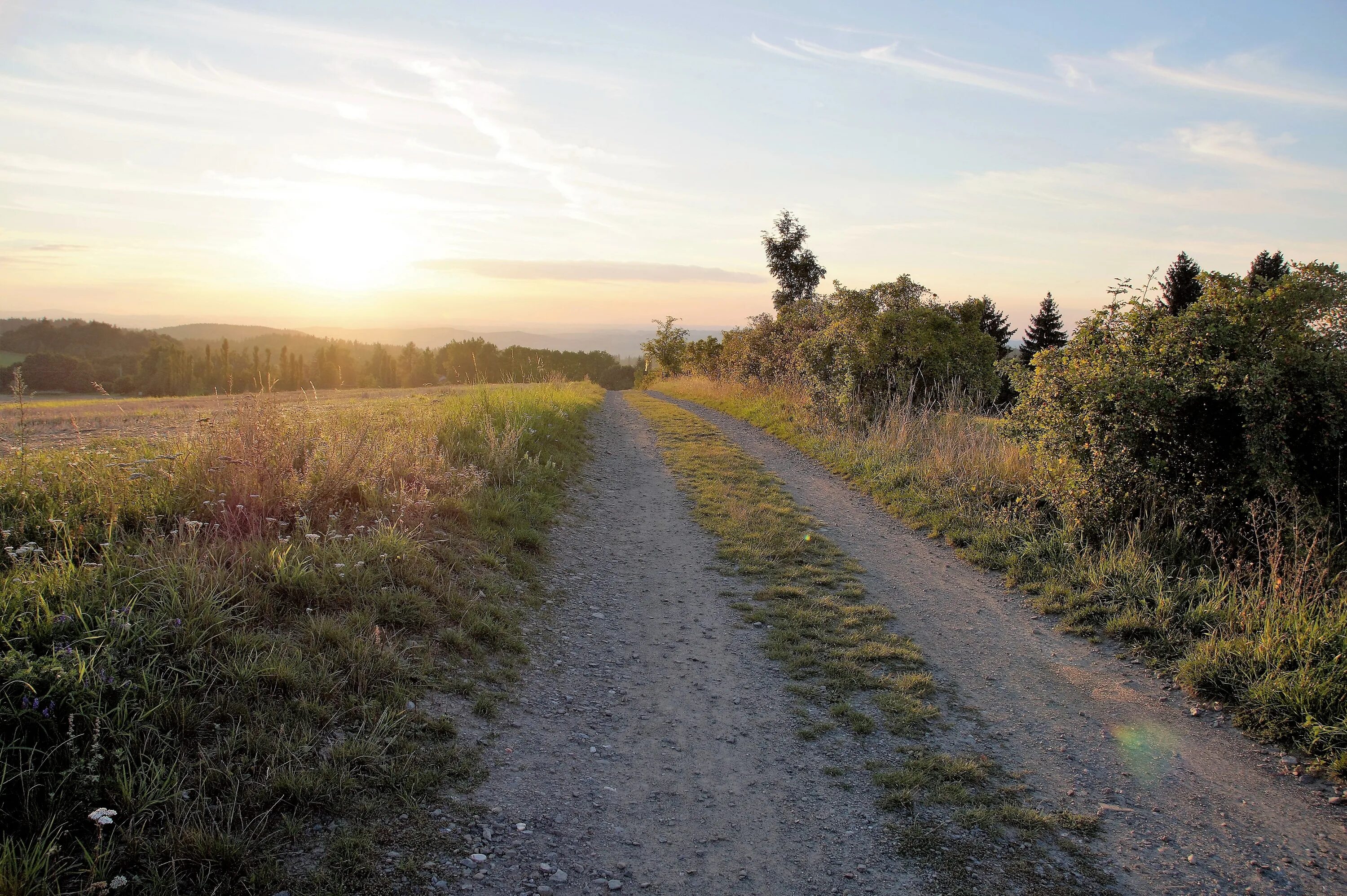 Поле тропинка фото Free Images : landscape, tree, nature, path, grass, wilderness, mountain, sunset