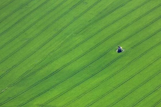 Поле вид сверху фото Klaus Leidorf - Aerial Photography - Collateral