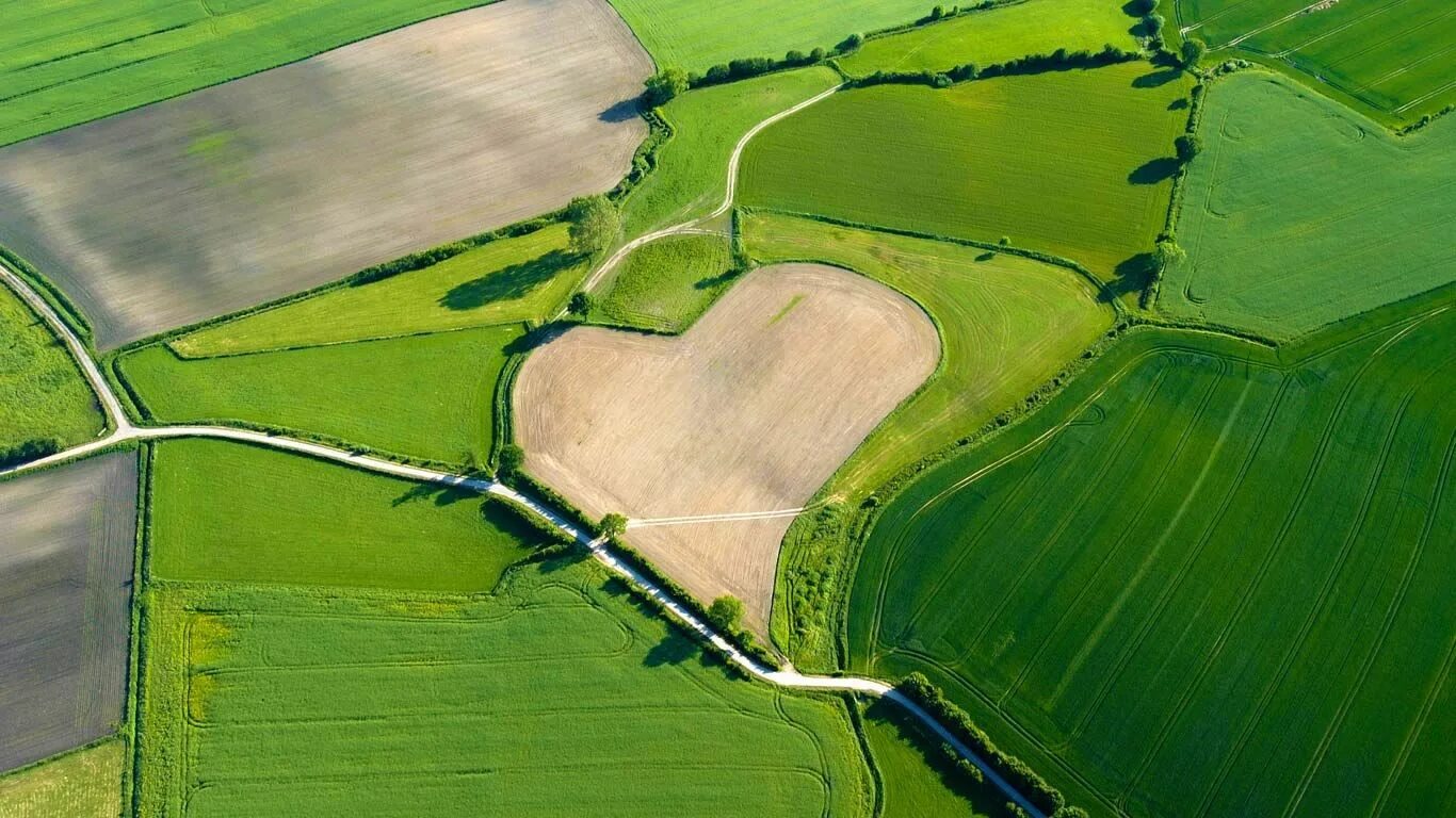 Поле вид сверху фото Aerial view of a heart-shaped field in Trittau, Germany (© imageBROKER/Alamy) Ae