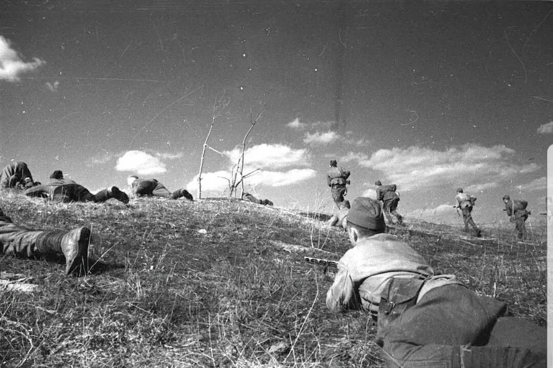 Поле война фото Урок мужества "Мы этой памяти верны" 2021, Урус-Мартановский район - дата и мест