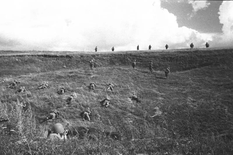 Поле война фото Сталинградская битва: научились воевать - Ведомости