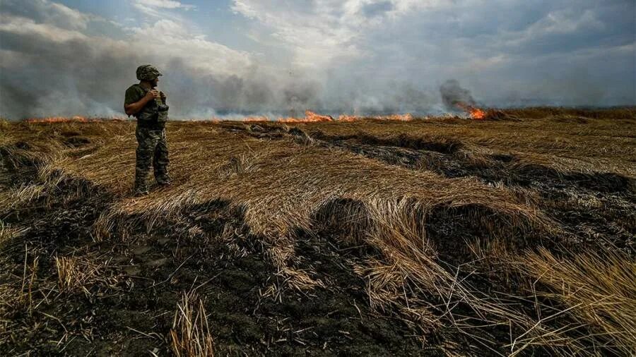 Поле война фото ВСУ в боях с военными ЛНР за сутки потеряли 30 человек Новости мира Известия 24.
