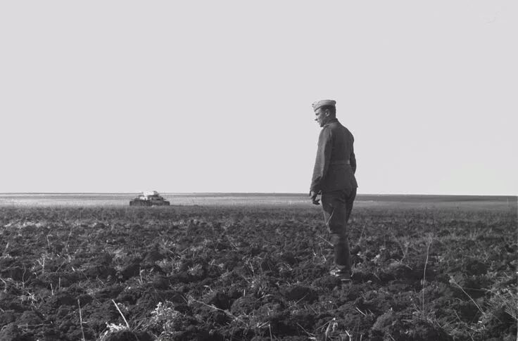 Поле война фото Pinterest