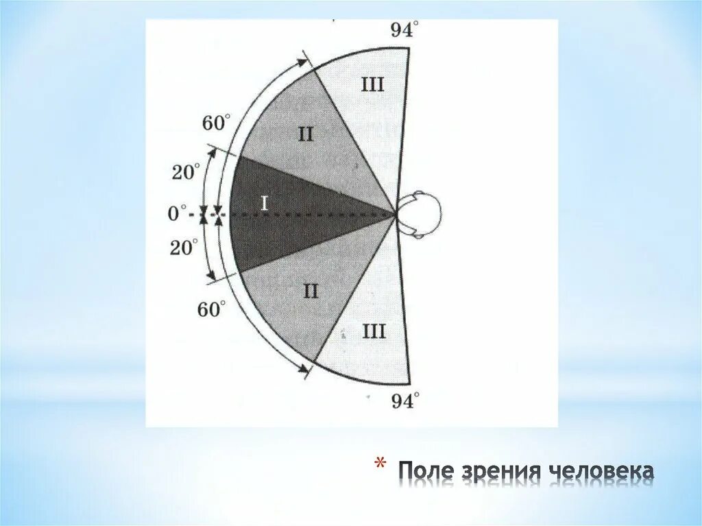 Поле зрения фото Диаметр поля зрения: найдено 82 изображений