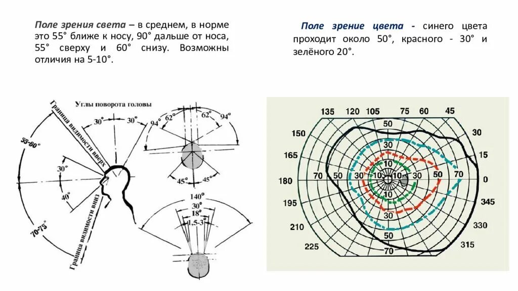 Поле зрения фото Оставаться в поле зрения идк шаперона: найдено 77 изображений