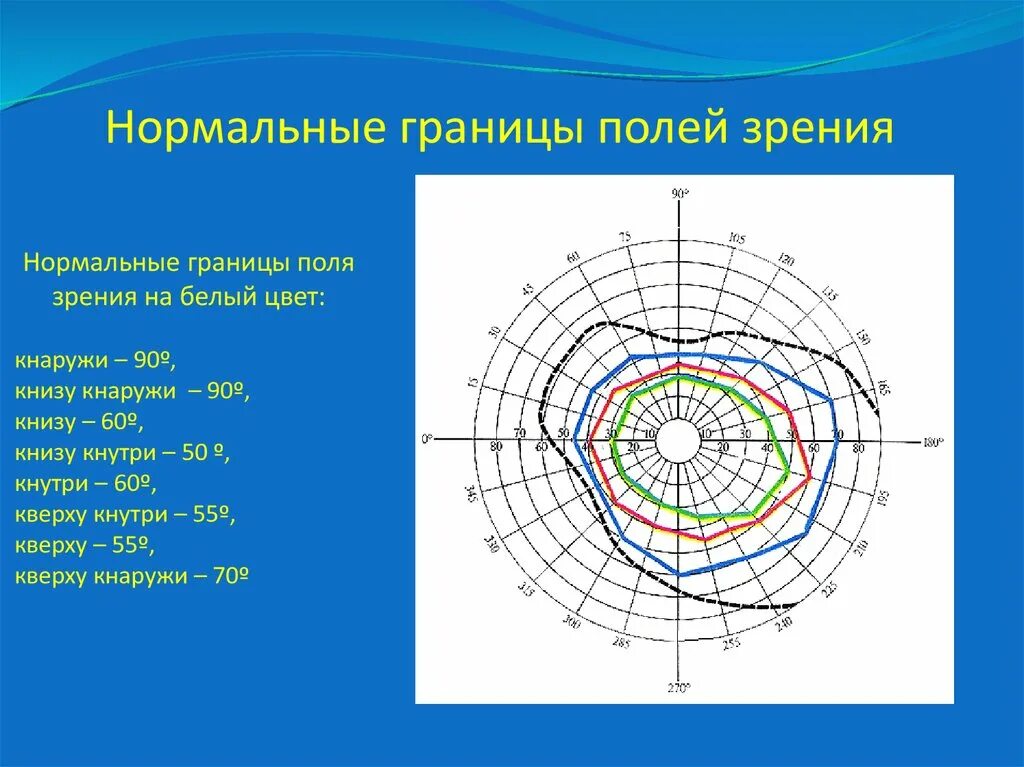 Поле зрения фото Нормальное поле зрения: найдено 86 изображений