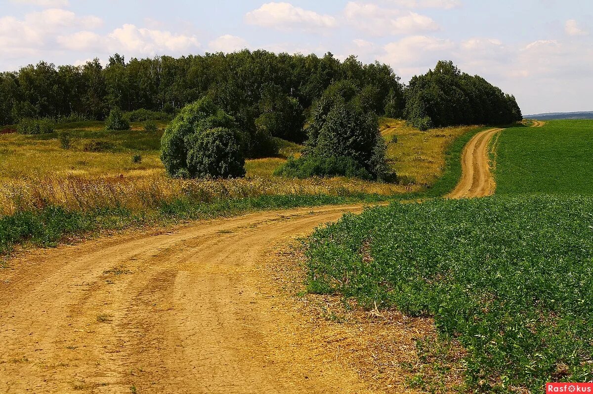 Полевая дорога фото Фото: В окрестностях Зарайска. Фотограф Руслан Хакимов. Пейзаж - Фотосайт Расфок