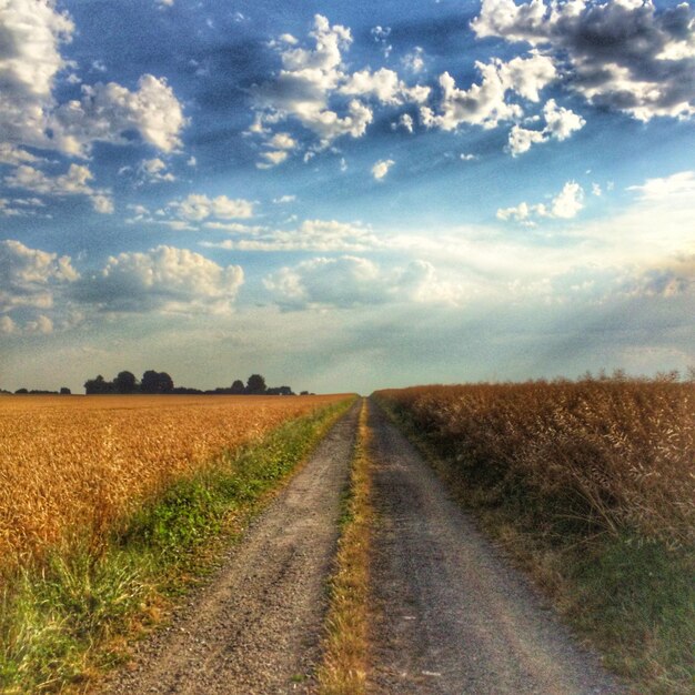 Полевая дорога фото Road Through Field Images - Free Download on Freepik