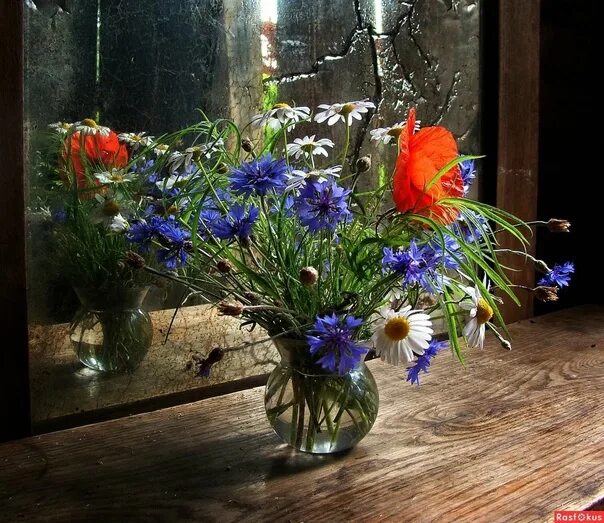 Home Decor - Discussion - Community - Google+ Beautiful flowers, Still life flow