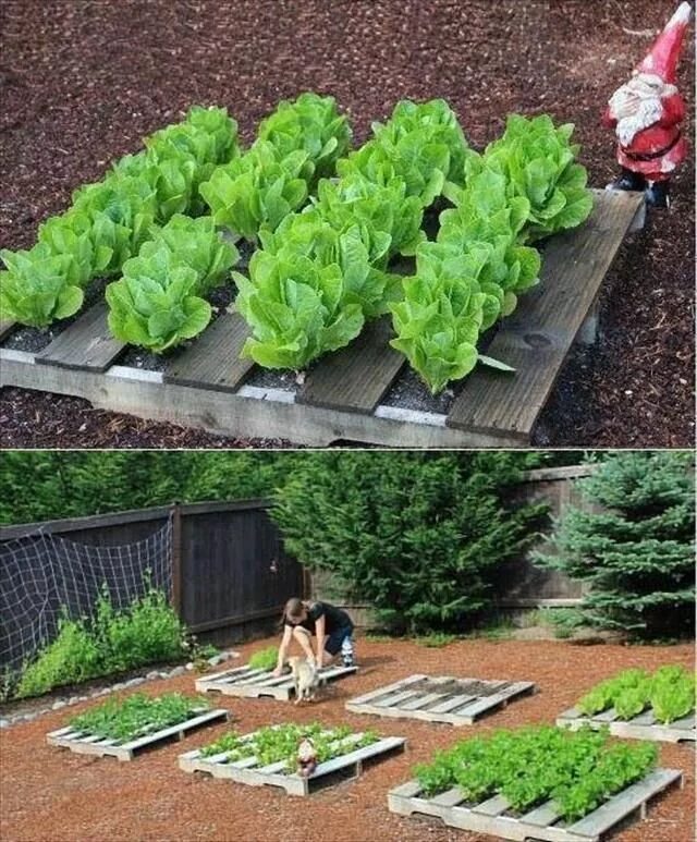 Полезное для дачи своими руками 25 DIY Pallet Garden Projects Pallet Furniture Plans Idées jardin, Amenagement j