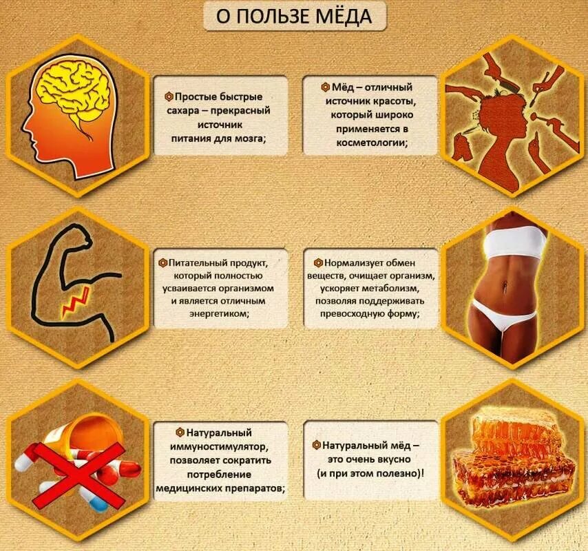 Полезные свойства меда фото Как мед влияет на организм человека ТАК ПРОСТО Дзен