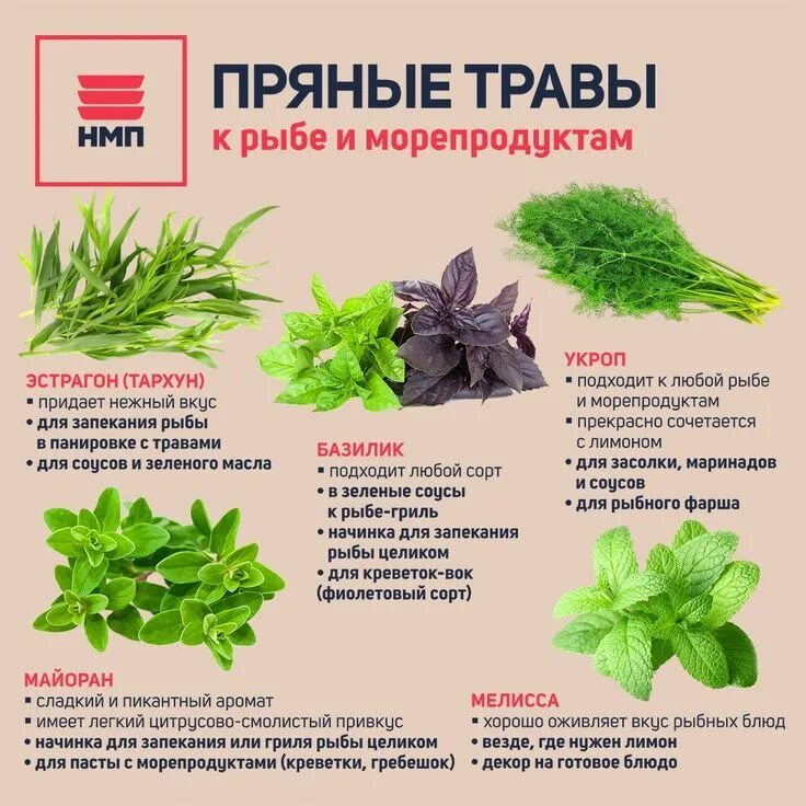 Полезные травы фото и описание Пряные травы к рыбе и морепродуктам Plants, Garden