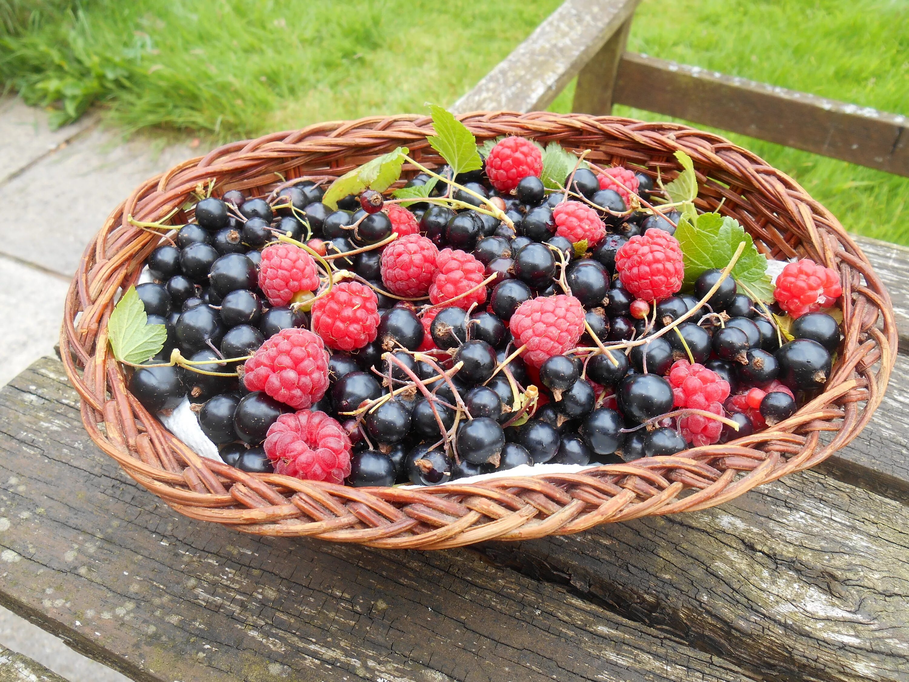 Полезные ягоды фото Free Images : nature, plant, raspberry, fruit, berry, summer, ripe, food, green,