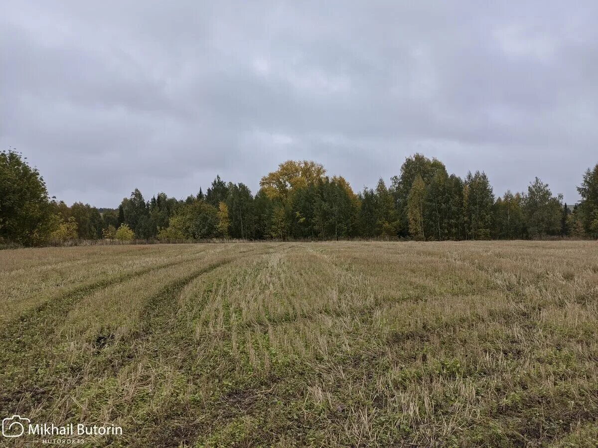 Полигон постоялые дворы курская область фото Побывал на месте постоялого двора 18 века. Показываю, что от него осталось Вятск