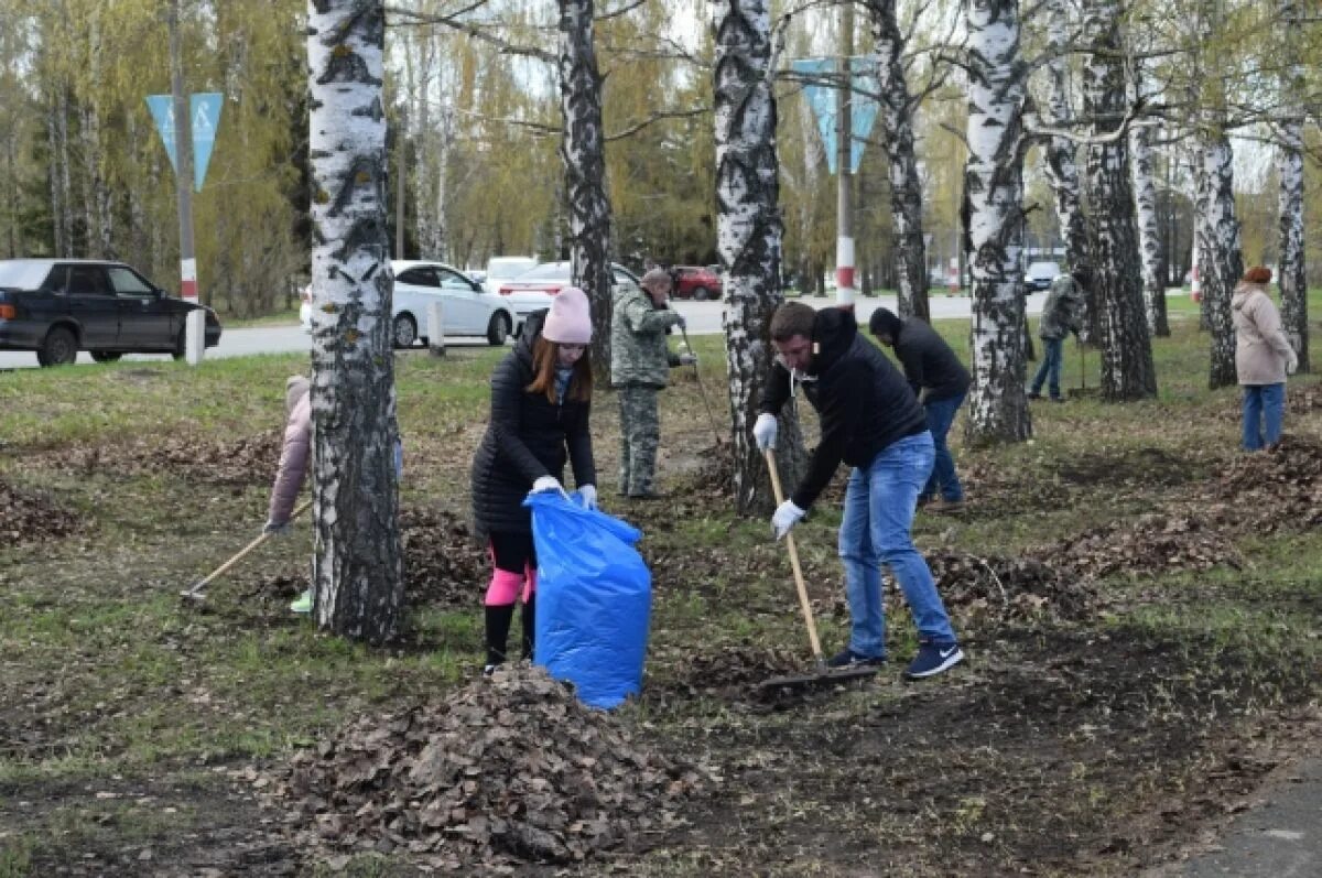 Поликлиника 3 прокопьевск субботник фото В Ульяновске перед Днём города проведут субботник АиФ Ульяновск