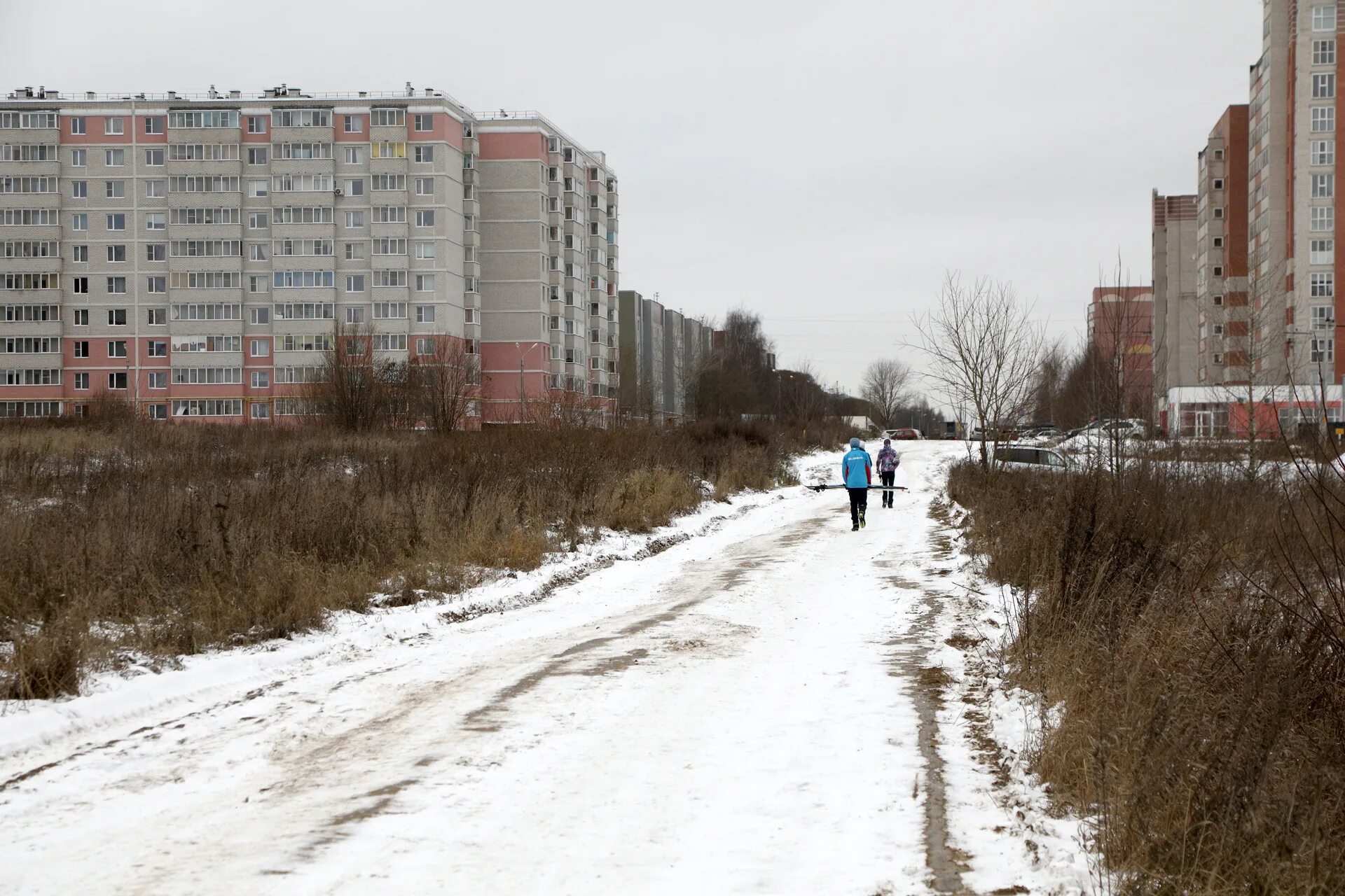 Поликлиника вологда улица поэта александра романова фото Спортивные объекты, поликлиника, дорожная инфраструктура: мощное развитие в ближ