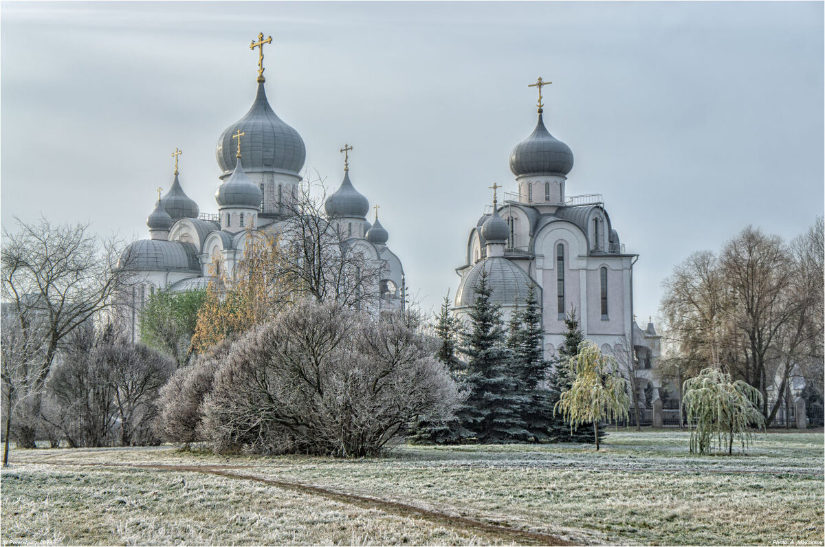 Полина максимова фото максим Ноябрь. Первый заморозок. :: Александр Максимов - Социальная сеть ФотоКто