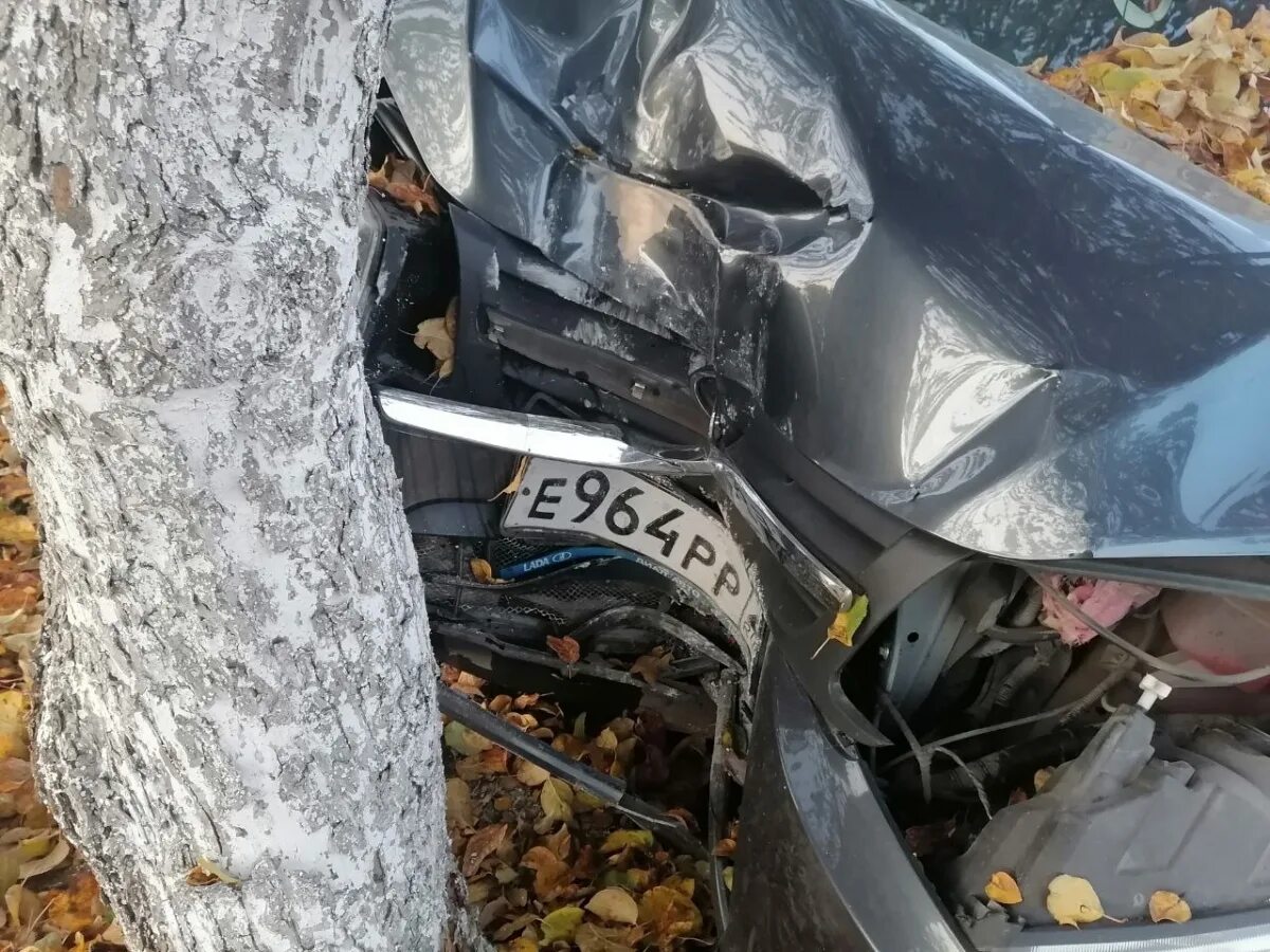 Полина сергиенко дтп лицо после аварии фото Легковушка сбила двух человек и врезалась в дерево на проспекте Мира - Чебоксары