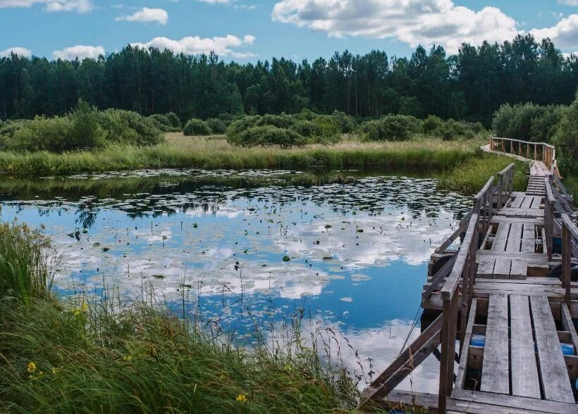 Полистовский заповедник фото Эко-экскурсия в Полистовский заповедник с посещением Плавницкого болота - цена 2