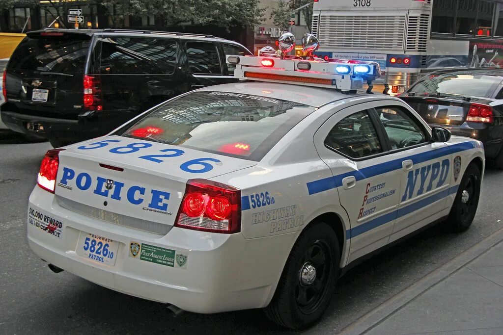 Полицейские номера фото Nypd dodge charger LkbAuto.ru