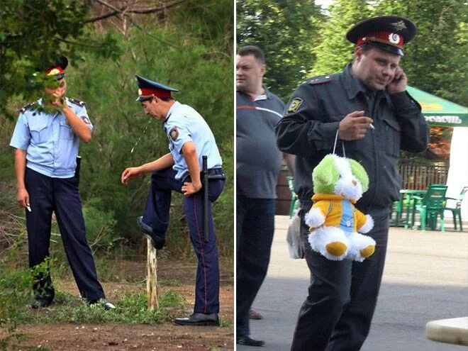 Полиция смешные фото Russian Police Funny meme pictures, Best funny pictures, Police