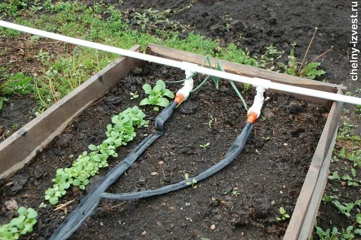 Полив дачи своими руками Пин на доске Gardening Огород, Сад