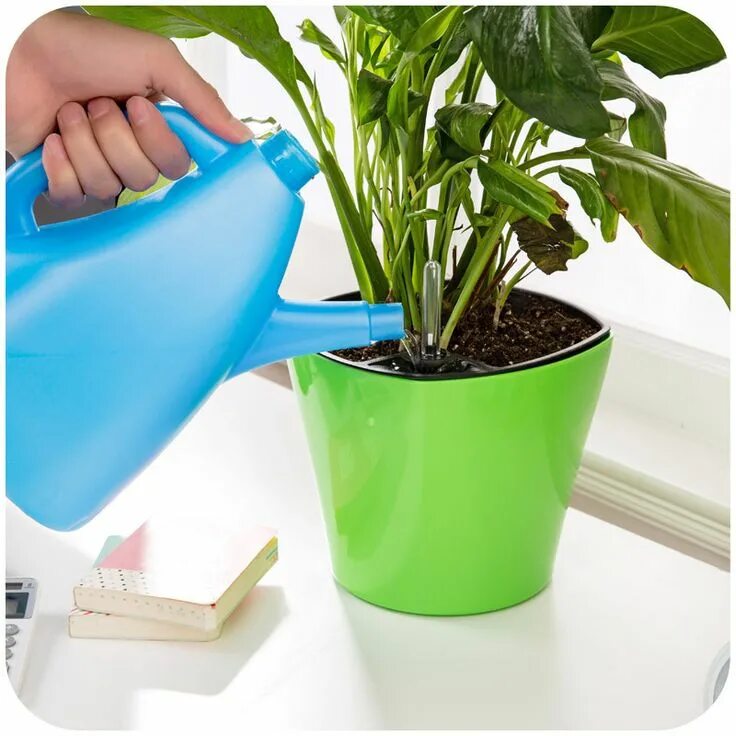 Полив комнатных растений фото New Automatic Irrigation watering flower pots plastic pots for plants with water