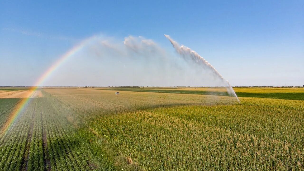 Полив полей фото Automatic Irrigation Equipment - YouTube