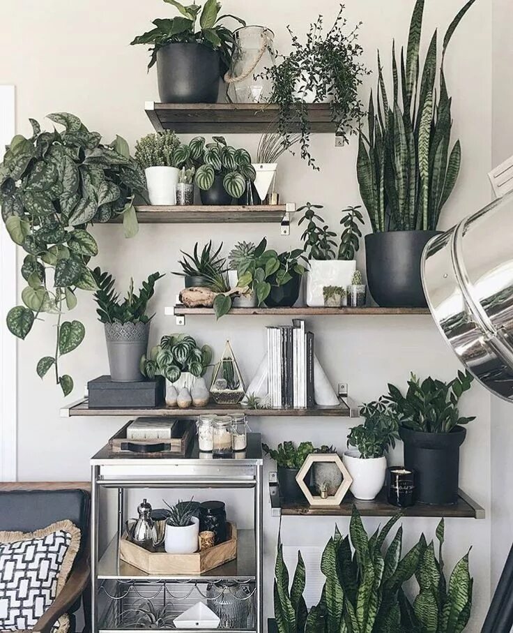 Полка для цветов в интерьере If you like plants you will love this! #interior #design #plants #pflanzen Livin