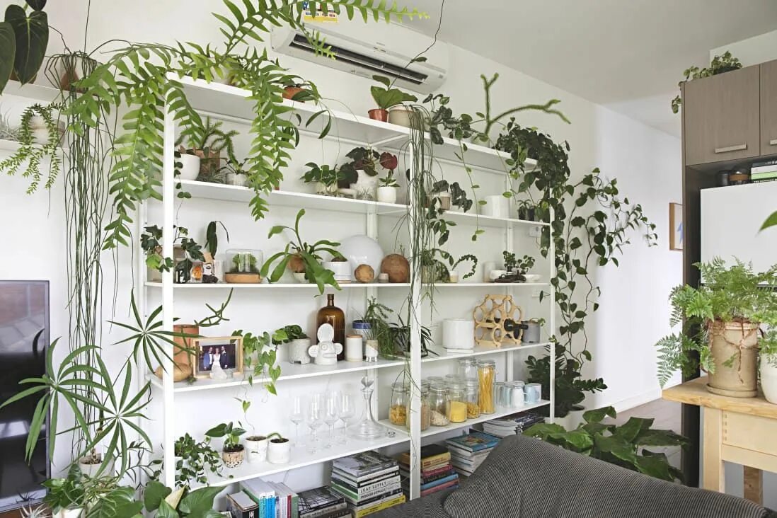 Полка для цветов в интерьере 100 of Our Favorite Plant Displaying Ideas of All Time