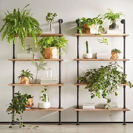 Полка для цветов в интерьере фото 23 DIY Indoor Plant Wall Projects Anyone Can Do イ ン テ リ ア 緑, 屋 内 植 物, イ ン テ リ ア