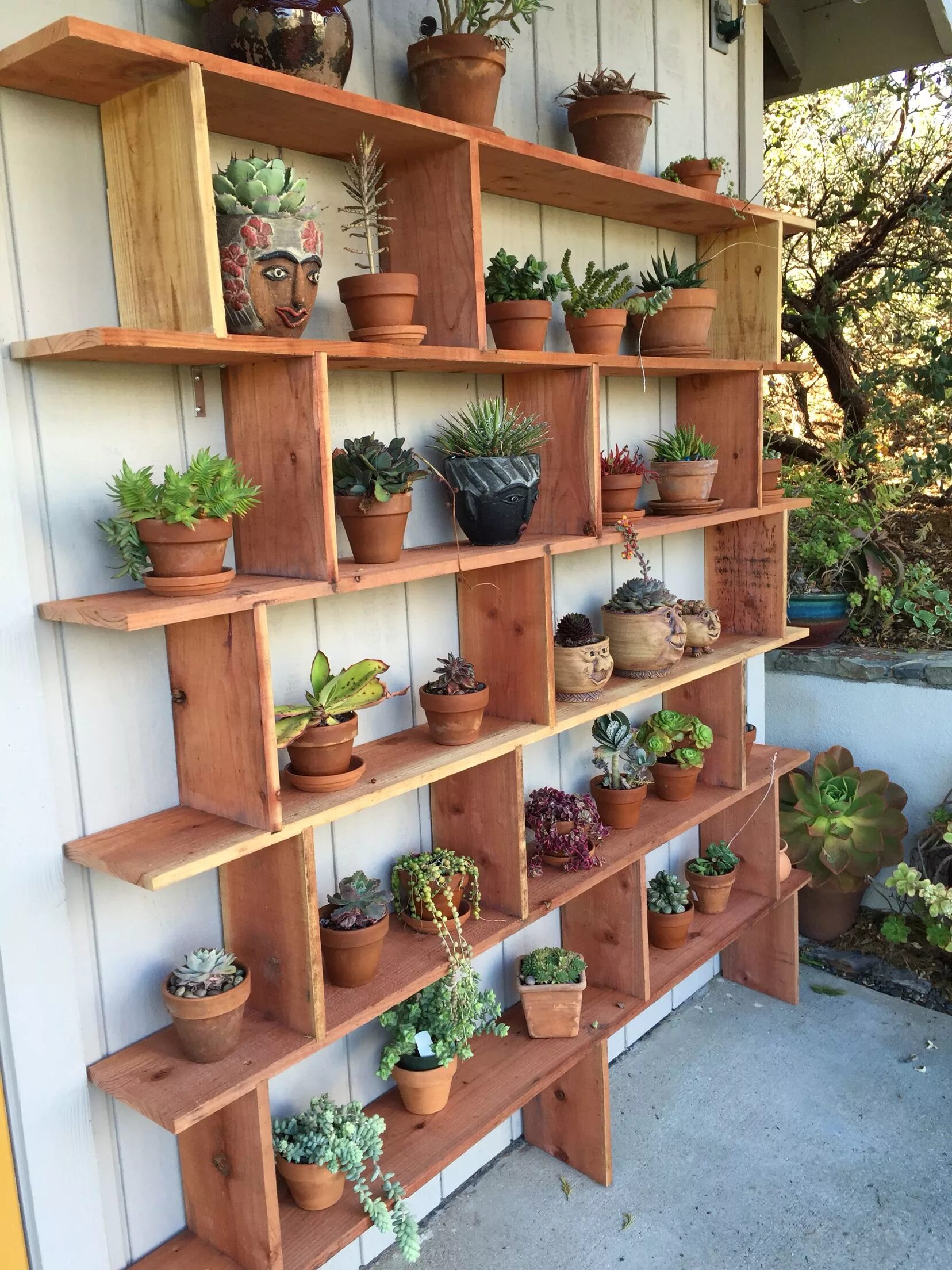 Полки на дачу фото My husbands wonderful succulent shelf Plant shelves outdoor, Succulent garden in