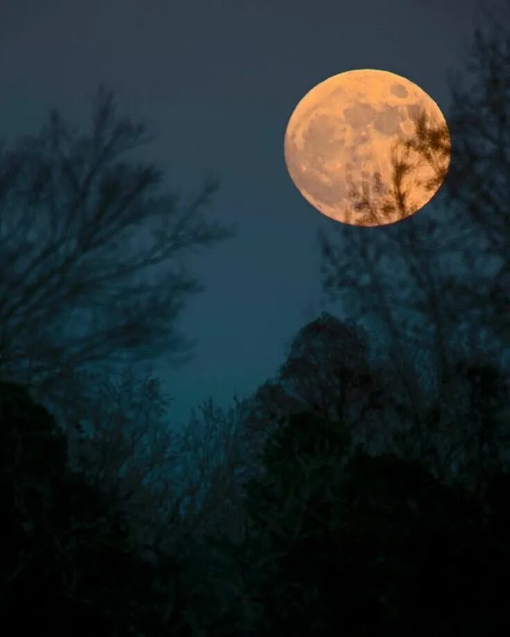 Полная луна фото Long Night Moon of December 16 EarthSky.org Scenery photos, Moon, Light in the d