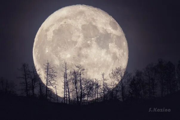 Полная луна фото Stunning footage of the moon from photographer Svetlana Casino Mountain Altai an