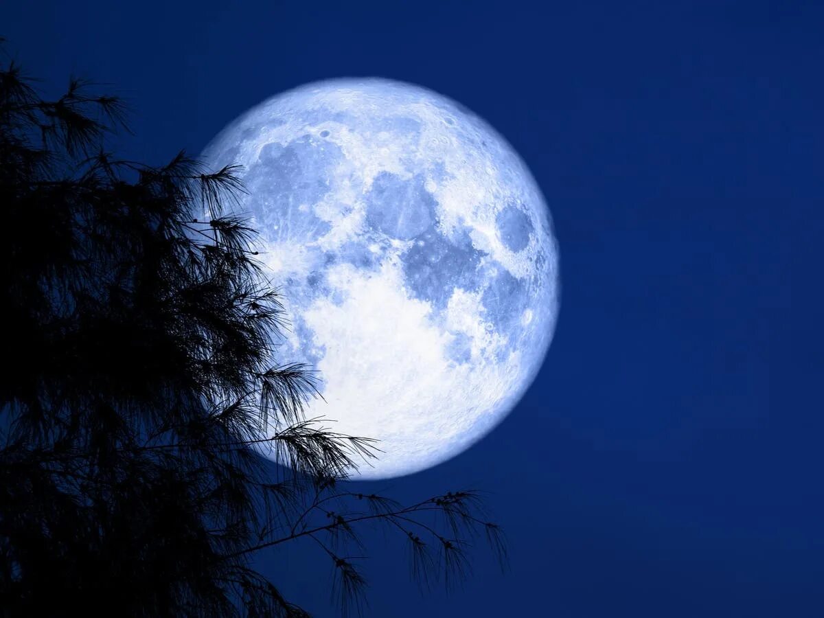 Полная луна сегодня фото What is a Blue Moon? Rare August supermoon will be last of its kind this decade 