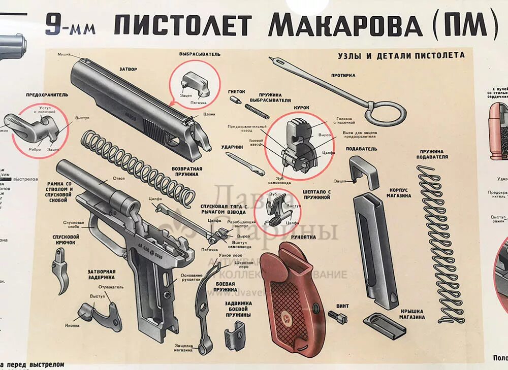 Полная разборка пм порядок действий в картинках Купить учебный плакат Советской Армии "Пистолет Макарова 9 мм (ПМ)", художник Ва