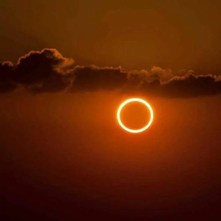 Полное солнечное затмение фото Solar eclipse 2020 from India Solar eclipse, Solar, Eclipse