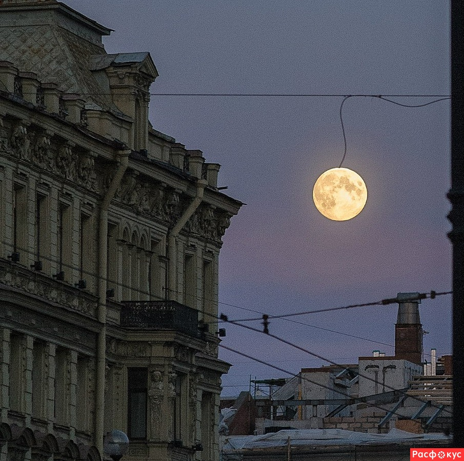 Полнолуние в питере сегодня фото Пин на доске фотографии