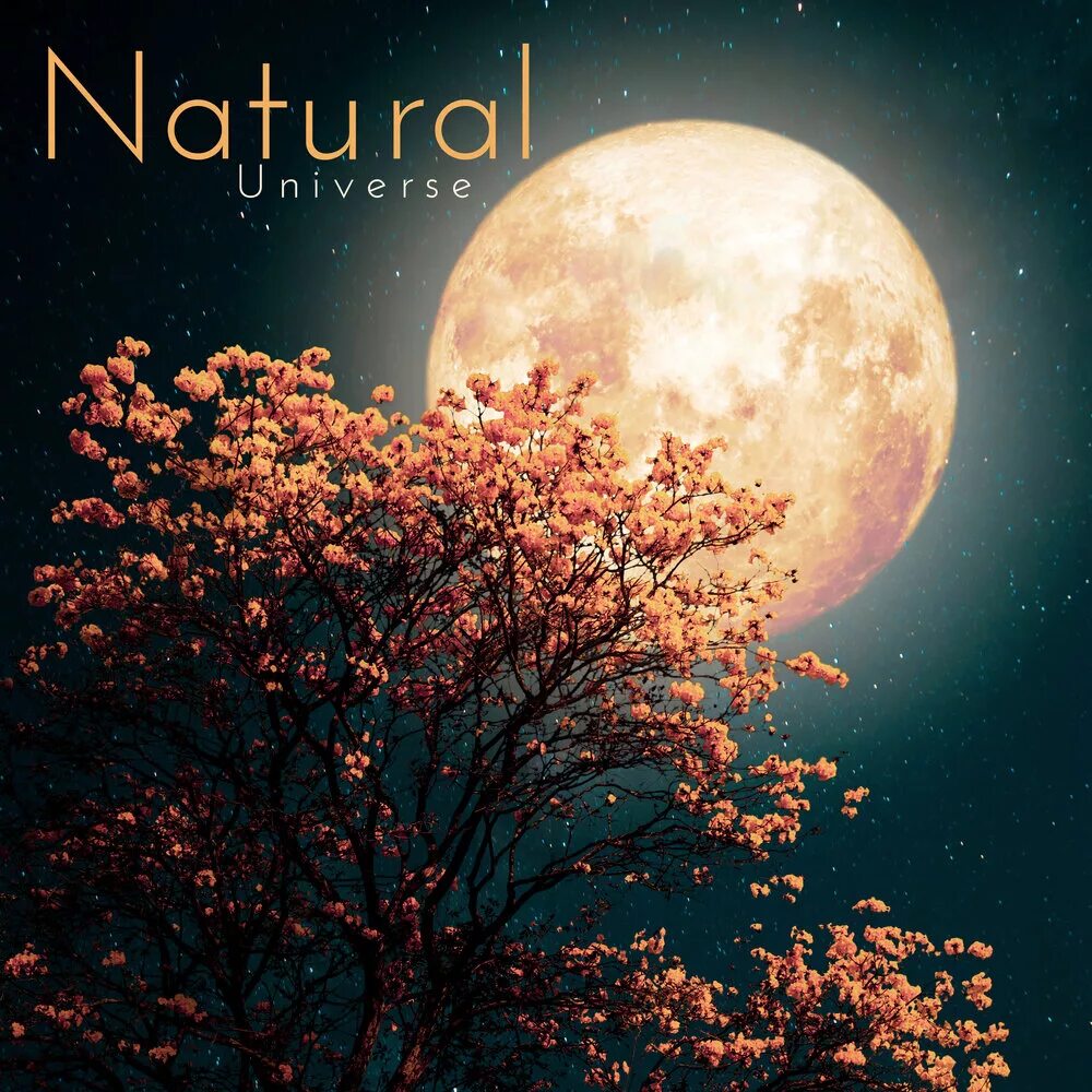 Полнолуние в сентябре фото Nature Meditation - Hypnosis Nature Sounds Universe, Mothers Nature Music Academ