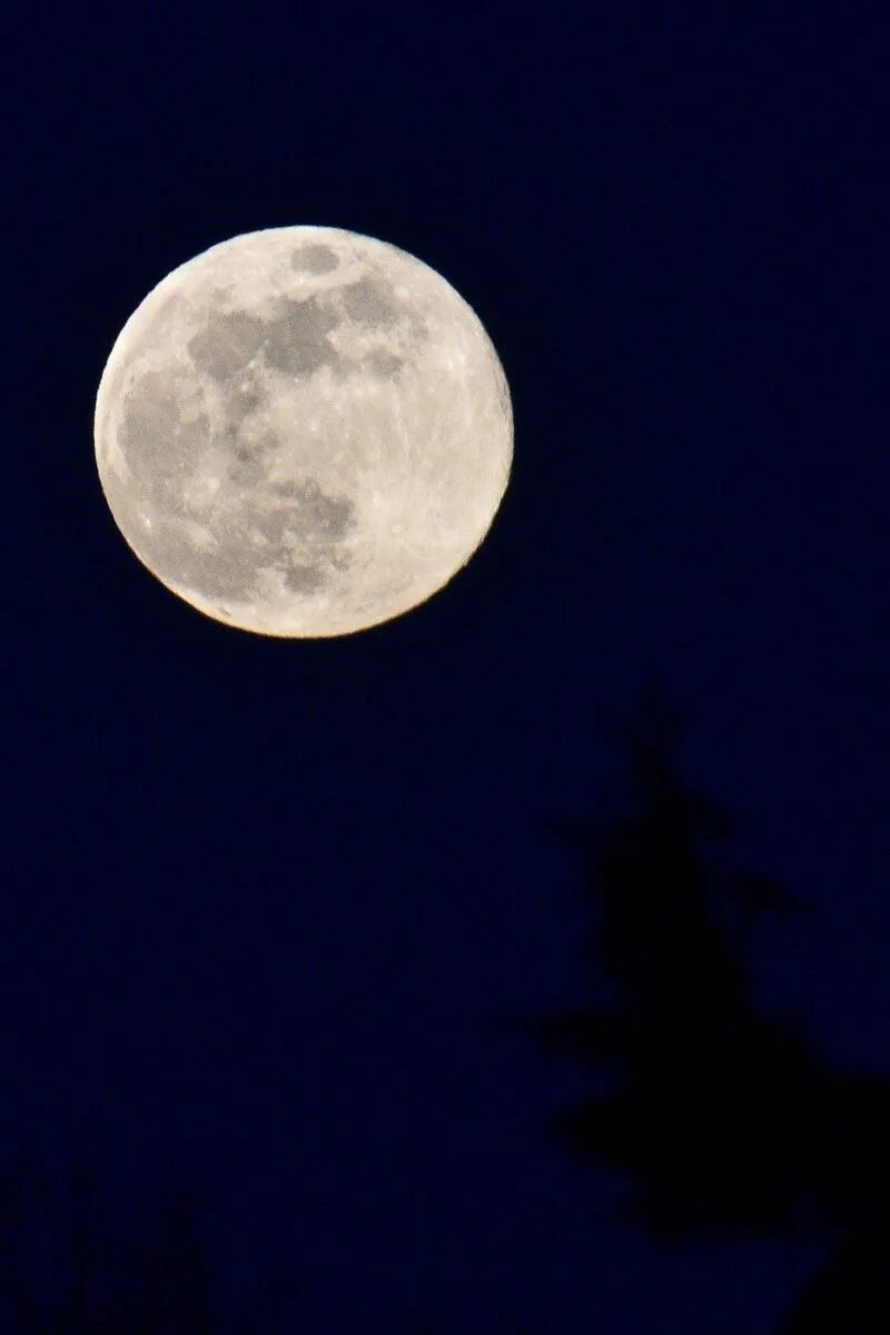 Полнолуние в сентябре фото Gardening By the Moon: Using the Moon Phases to Guide Your Gardening Moon phases