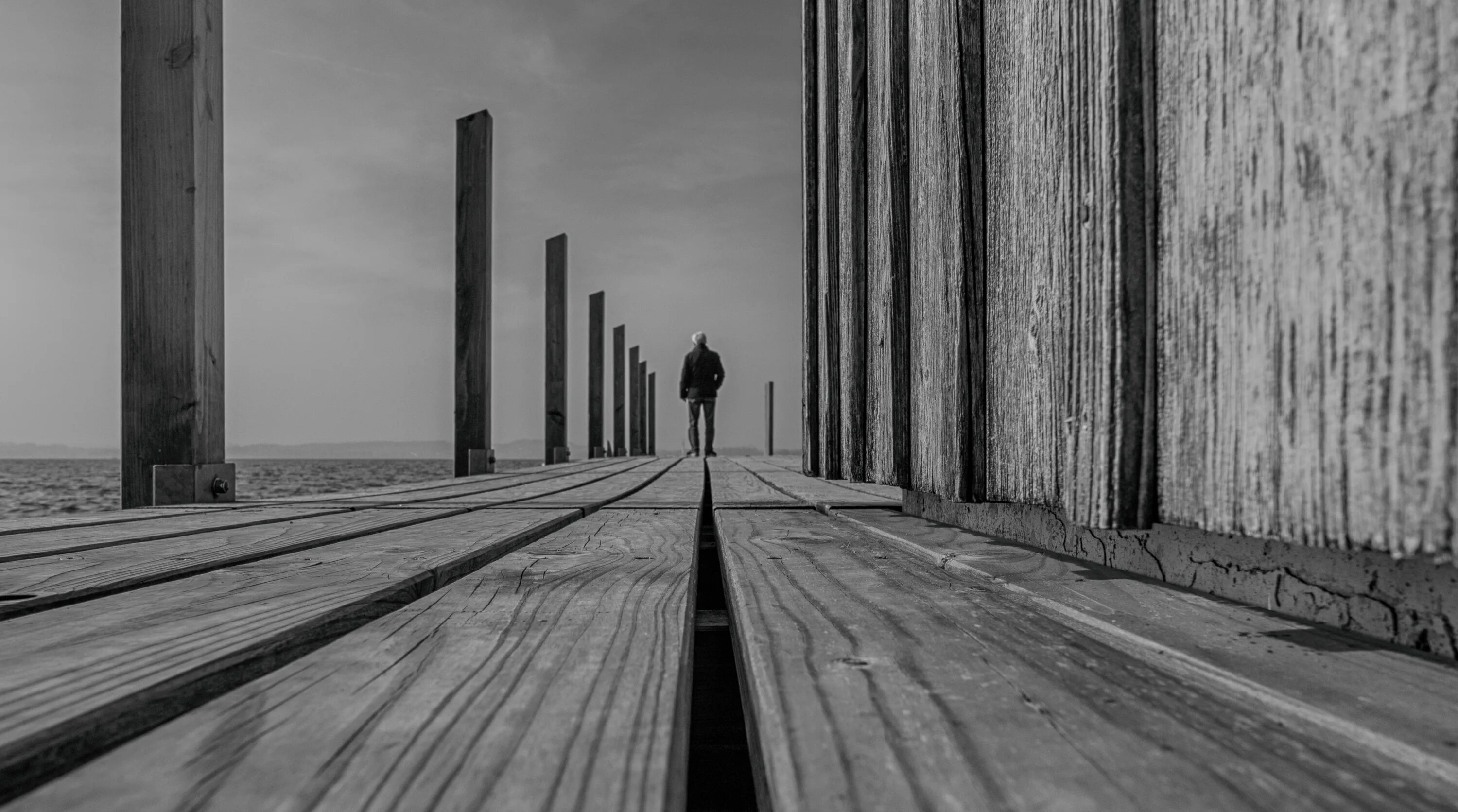 Полностью черно белое фото Free Images : black and white, people, wood, fog, street, lake, line, weather, d