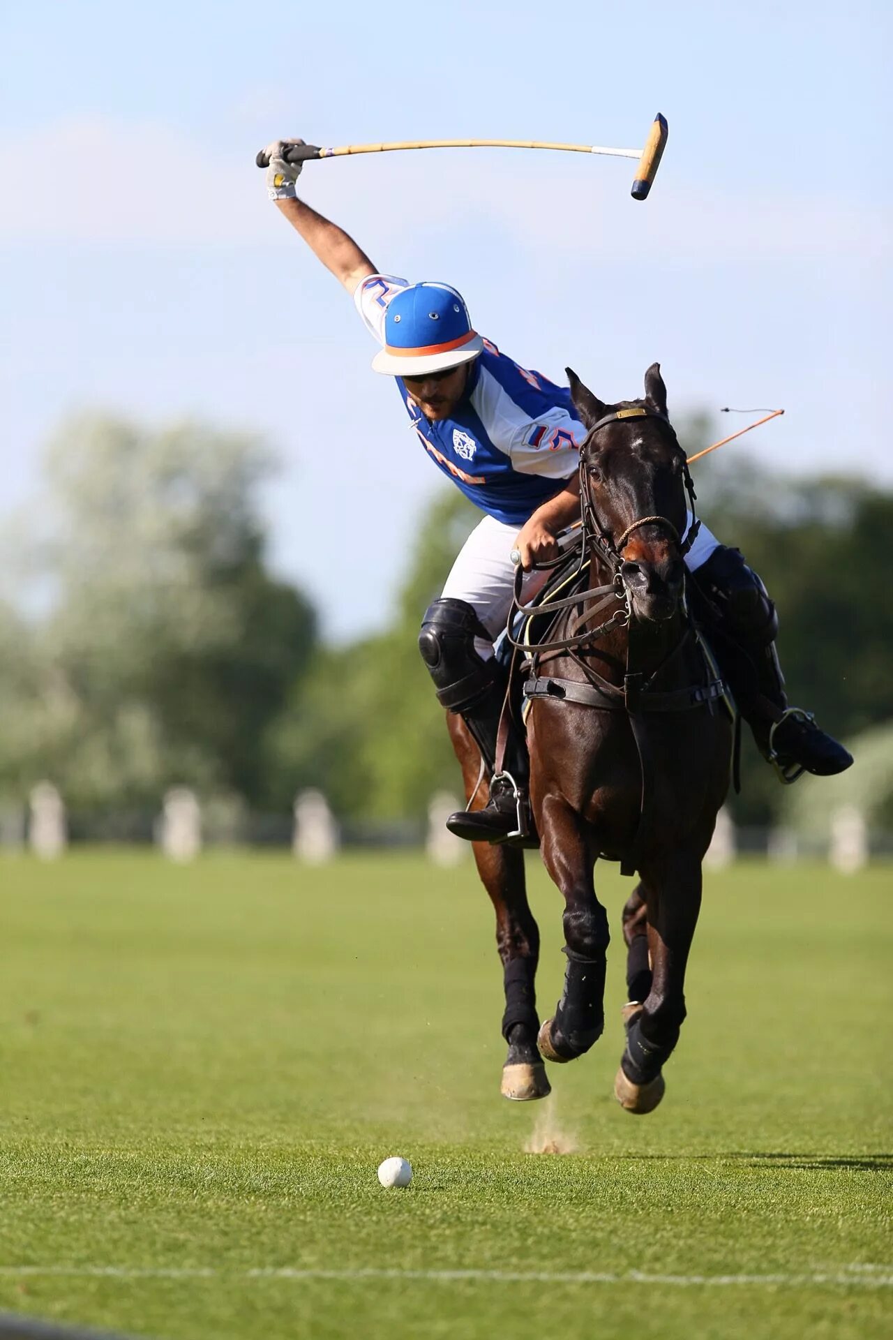 What you should know about Polo