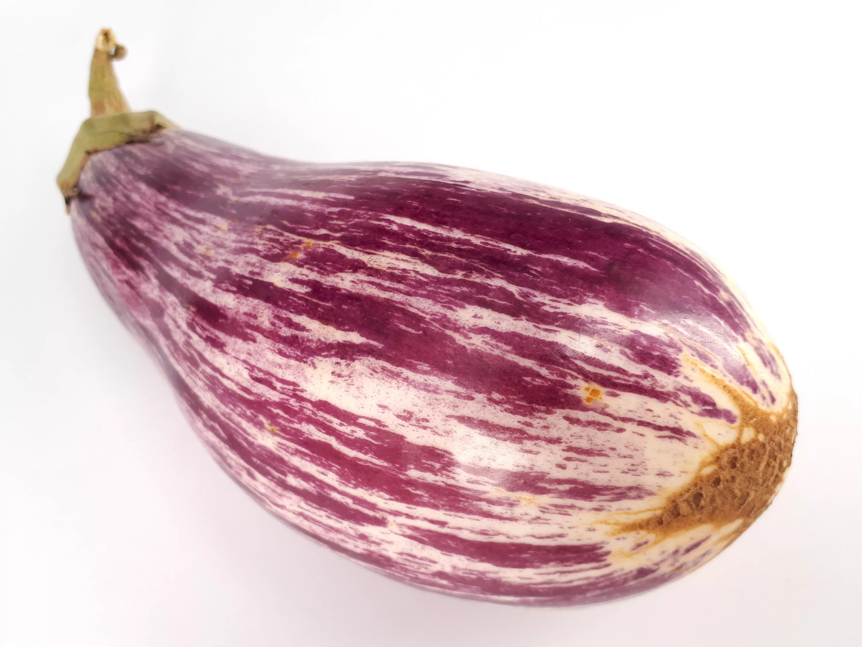 Полосатый баклажан фото File:Eggplant scab 2017 O.jpg - Wikimedia Commons