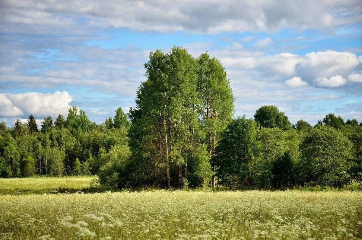 Полосы россии фото Экскурсия "Родные просторы" 2023, Бирский район - дата и место проведения, прогр