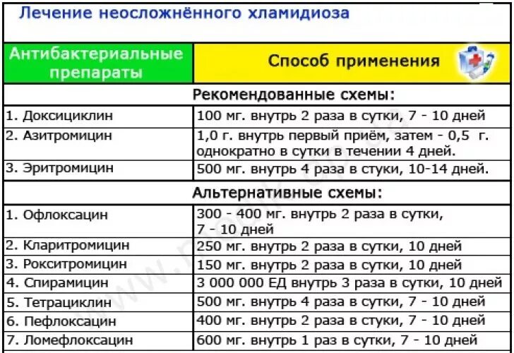 Половые инфекции у женщин симптомы фото Хламидиоз у женщин и мужчин: симптомы, диагностика, методы лечения, осложенения 