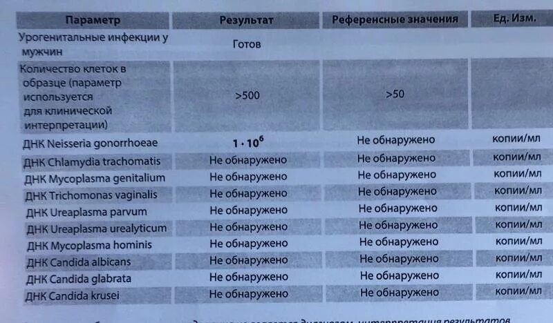 Половые инфекции у женщин симптомы фото Результаты иппп