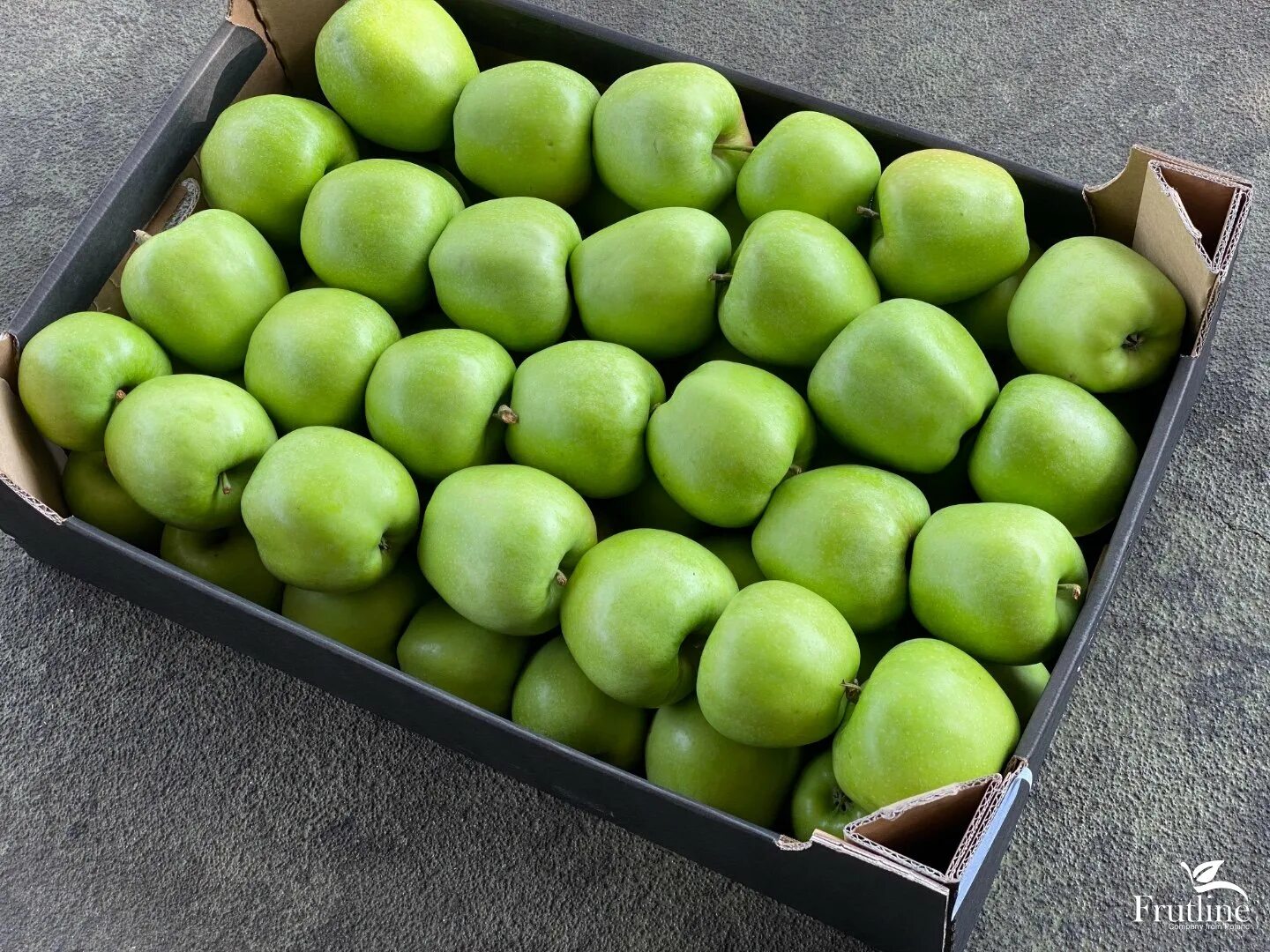 Польские яблоки фото Wholesale Mutsu apples from Frutline