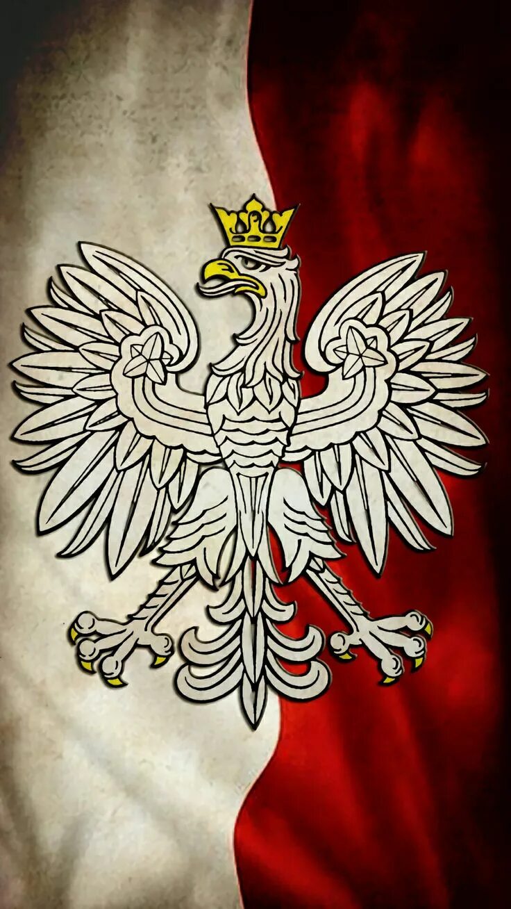 Польский герб фото Pin on POLEN Poland flag, Polish winged hussars, Winged hussars