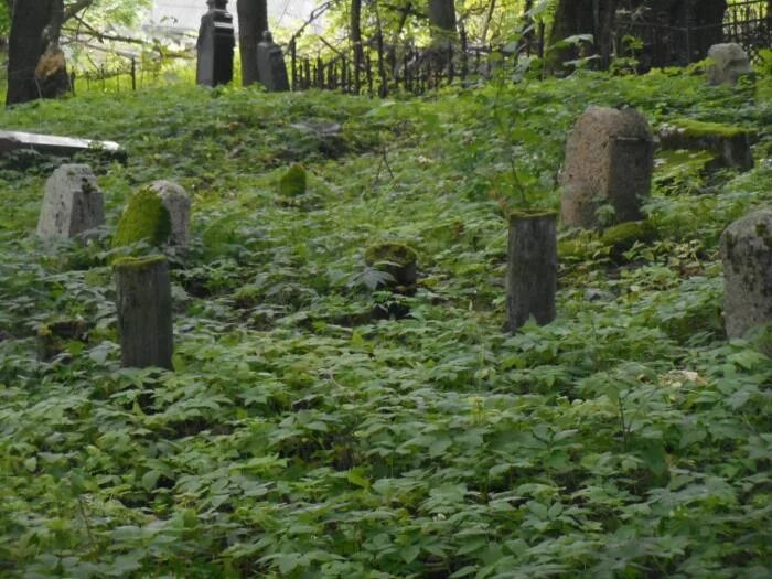 Польское кладбище в смоленске фото Смоленское еврейское кладбище - Смоленск